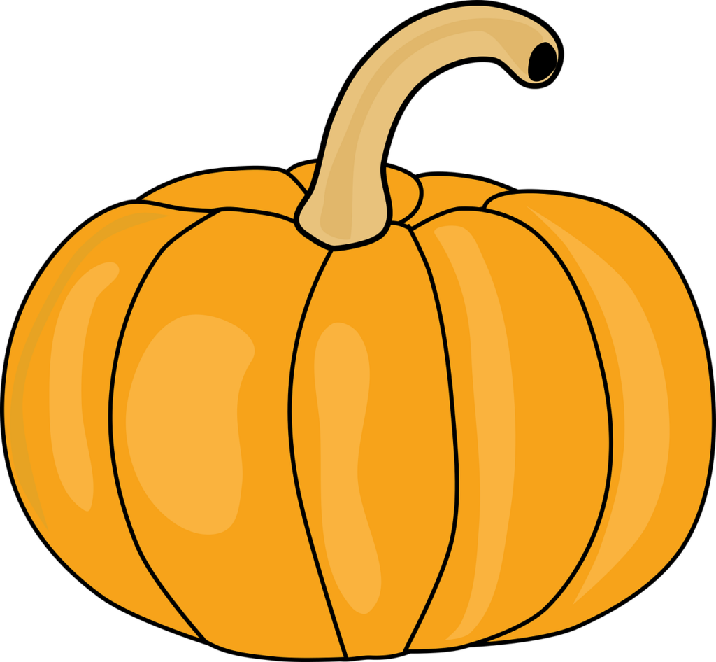 pumpkin, vegetable, autumn-1300201.jpg